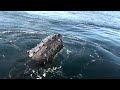 OceanicTripMonterey.m4v