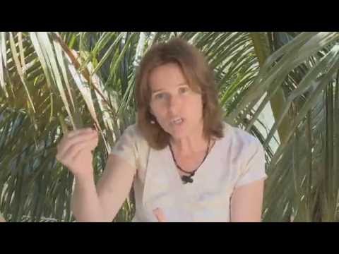 Jac O’Keeffe: Don’t Let Your Beliefs Distort Your Reality