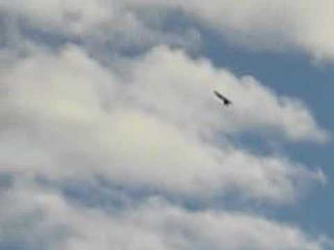 F-18 crash, repair, f18 crash. F-18 crash, repair,