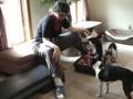 Teaching Humbug to Clean Up, Part 2