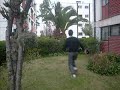 Sobre los arbustos !