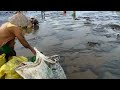 Clam Pickers tracking shot