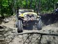 videos de tellico