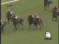 2007 セントウルステークス centaur stakes