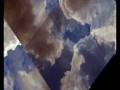 videos de golden section experiment
