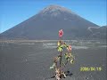 île de Fogo (Cabo Verde, Cap Vert) Pico & Sao Felipe île de Fogo (Cabo Verde, Cap Vert) Pico & Sao Felipe