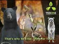 Must See Funny Singing Animal Music Video Political Ad Must See Funny Singing Animal Music Video Political Ad