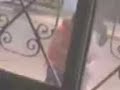 el son del dolor de goyo el son del dolor de goyo