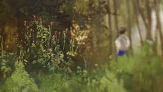 Tájképfestők Bazsóné Nagy Gabriella szemével