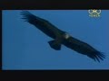 Yemen Mwasha7 Al-7amd Le-Allah for Ahmad Al-synaidar