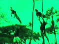 University of Hawaii Cheer Movie Promo