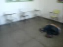 galera do pinheiro 11