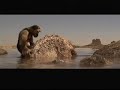 Survival of the Fittest - Rock