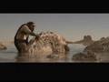 Survival of the Fittest - Rock