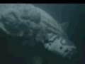 Tribute to Liopleurodon