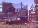 differant kind of trampoline movie