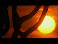 Namibia - A Filmmaker\