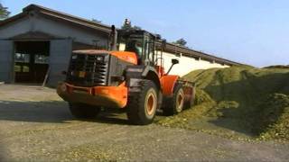  HITACHI ZW 250-5B   Tier 4