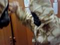 Gas mask dizzy