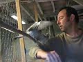 Gavage des petites Palombes en volière