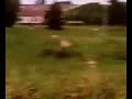 nou kan on chute