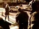 lion cub in da street