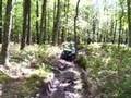 Arctic-Cat-ATVs-vs-T