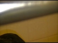 Pranking My Wife in Shower