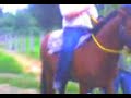 POS SANTIag oc cae e l cavallo