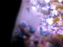 Tropical fish tank 4721