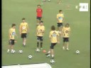 Xavi y Villa reciben premios mejor y máximo goleador Eurocopa,