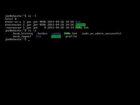 how to environment variable in linux