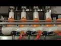 Bottling Machines / Riempitrice Logyka 4MAS