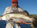 Big Barra on Fly Big Barra on Fly