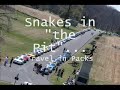 The Snake Pit