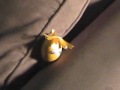 Egg's Suicide Part 1
