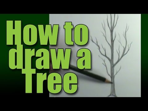 how to to draw a tree