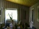 En samling kortfilmer del 2