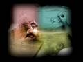 videos de Selva Zapatista para Camilo