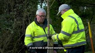 SDCC’s Draft Climate Change Action Plan