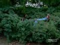 hard core buisson hard core buisson