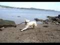 Oakly Swimming