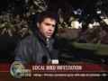 Unlucky News Reporter