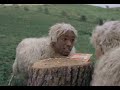 SKITTLES SHEEP BOY COMMERCIAL