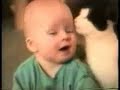 VIDEO CACETADAS VIDEO CACETADAS