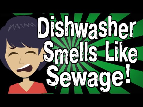 how to get smell out of dishwasher