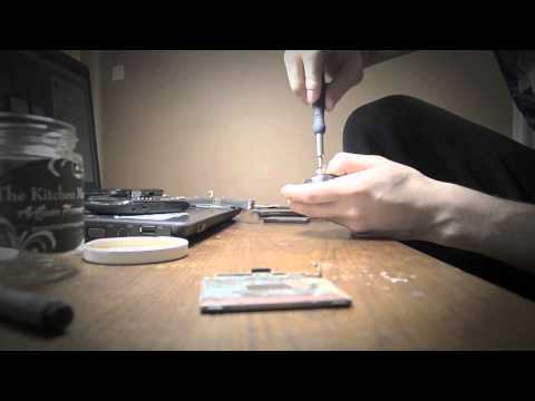 how to transplant established blackberries