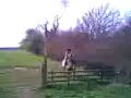 Fringeyy jumpin Dillan Fringeyy jumpin Dillan