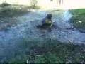 funny idiots getting hurt doing stunts