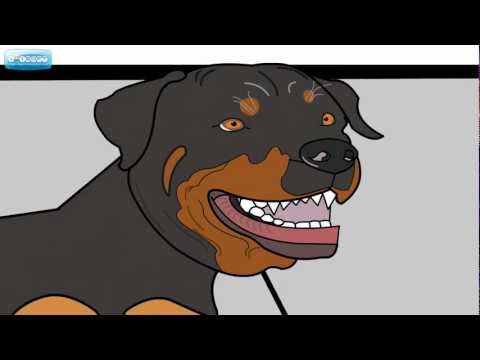 rotweiler
